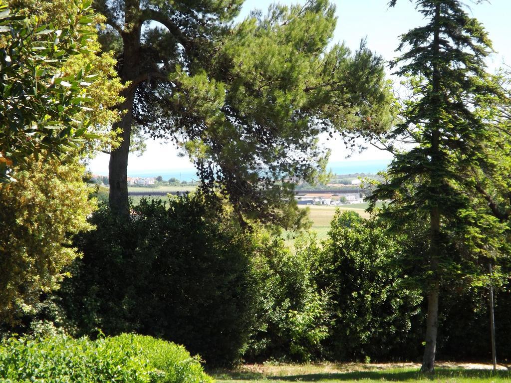 مونتيهمارثيانو Tenuta Villa Colle Sereno المظهر الخارجي الصورة