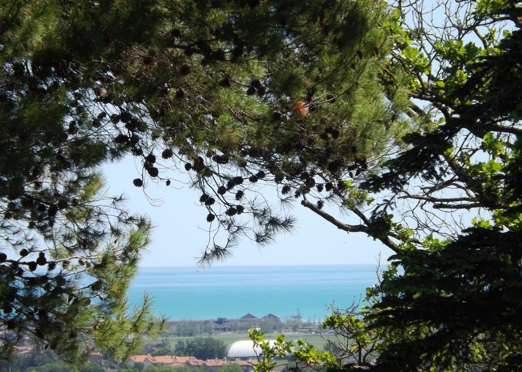 مونتيهمارثيانو Tenuta Villa Colle Sereno المظهر الخارجي الصورة